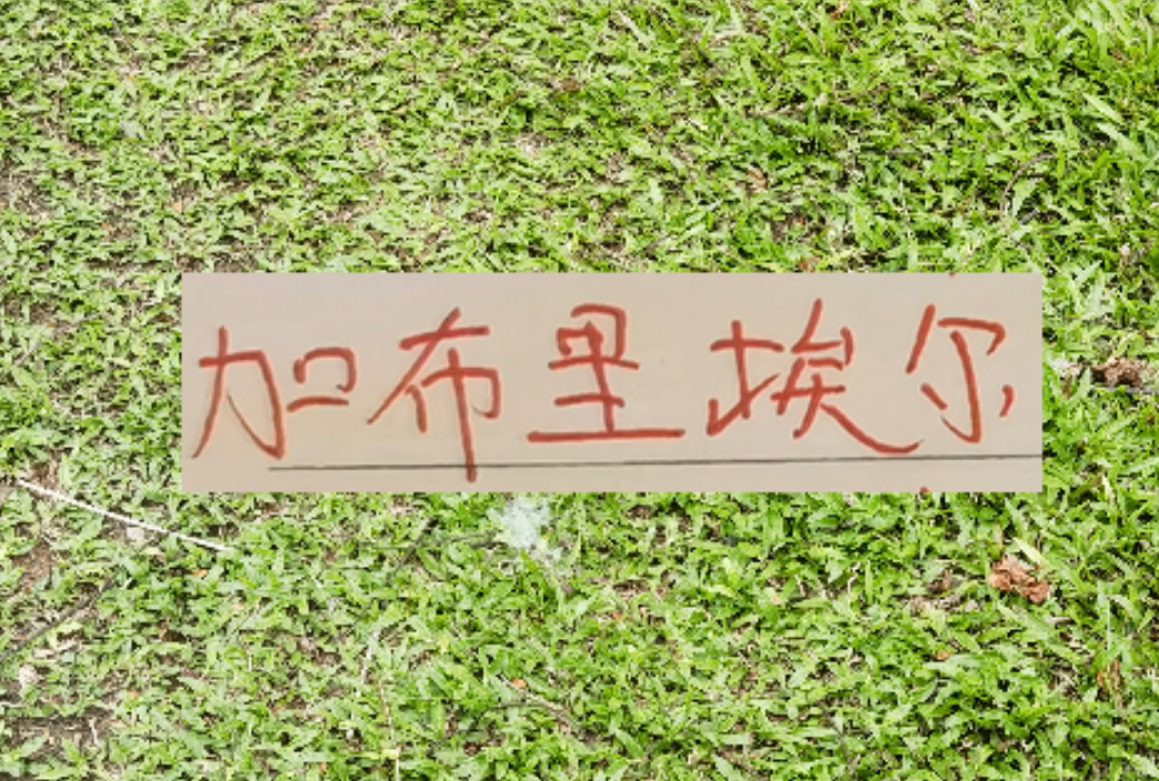 九游官网-拦不住申花降维打击！加布里不管咋样也是 低配版海港巴尔加斯